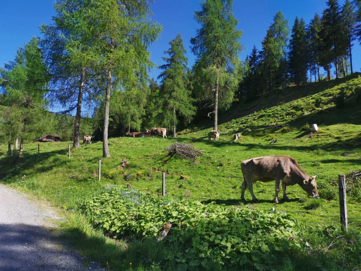 Haus Klinsterwald ザンクト・オスヴァルト エクステリア 写真